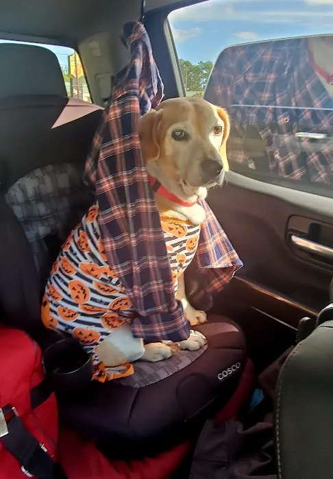 Groves Veterinary Clinic Picture 5