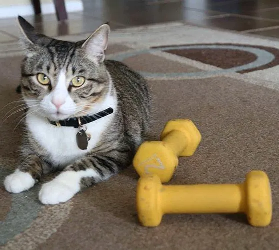 Groves Veterinary Clinic Picture 4