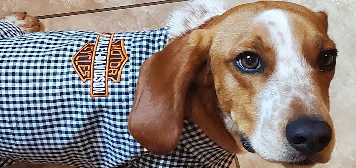 Groves Veterinary Clinic Picture 9