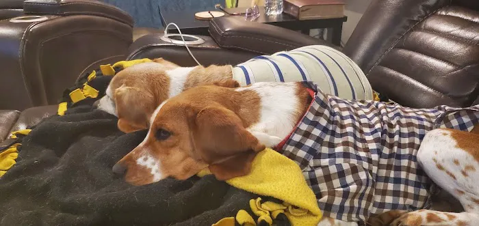 Groves Veterinary Clinic Picture 8