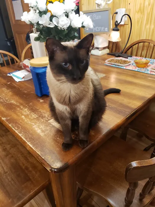 Groves Veterinary Clinic Picture 10