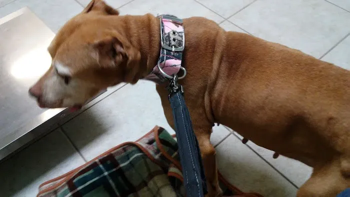 Jordan Veterinary Clinic Picture 1