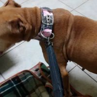 Jordan Veterinary Clinic ico