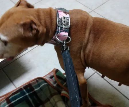 Jordan Veterinary Clinic