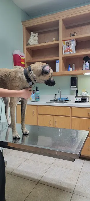 Jordan Veterinary Clinic Picture 2