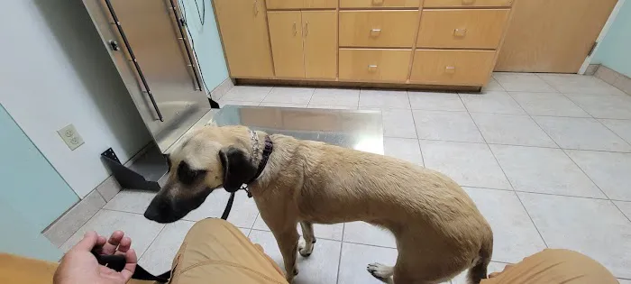 Jordan Veterinary Clinic Picture 3