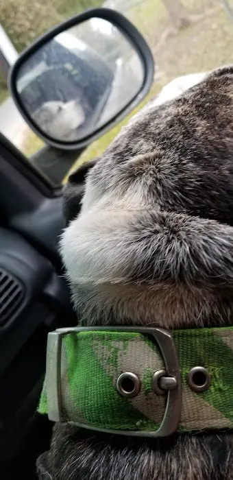 Jordan Veterinary Clinic Picture 7