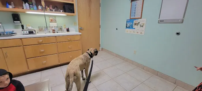 Jordan Veterinary Clinic Picture 4