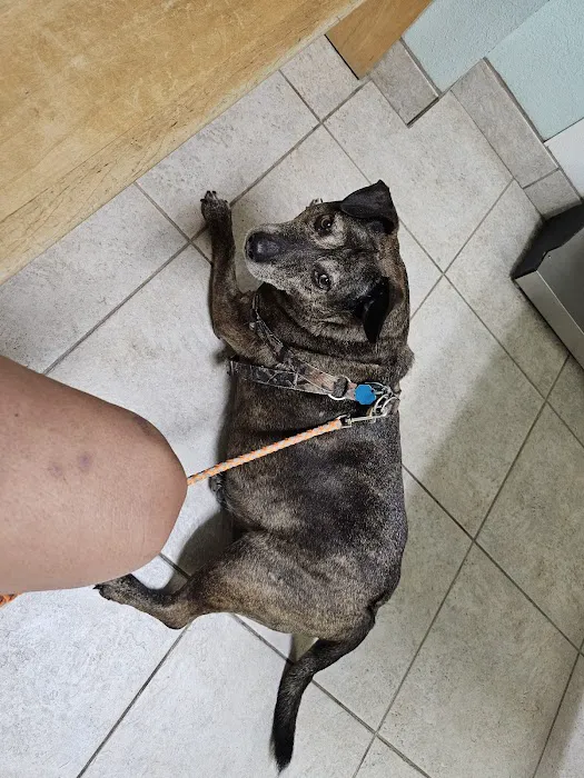 Jordan Veterinary Clinic Picture 5