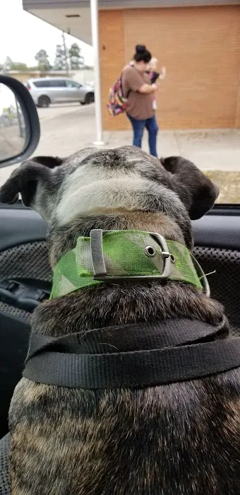 Jordan Veterinary Clinic Picture 6