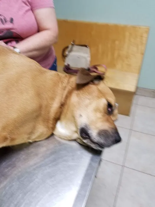 Jordan Veterinary Clinic Picture 10