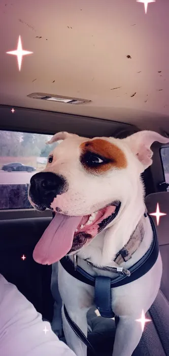 Jordan Veterinary Clinic Picture 9