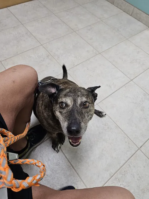 Jordan Veterinary Clinic Picture 8