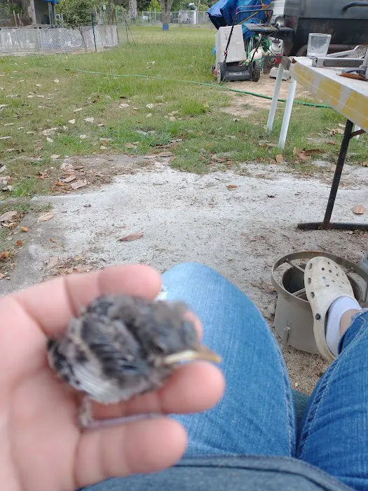 Sherwood Animal Clinic Picture 1