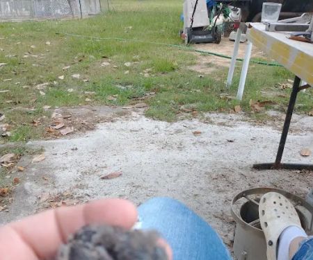 Sherwood Animal Clinic