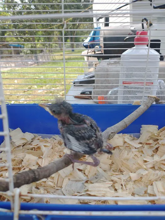 Sherwood Animal Clinic Picture 4