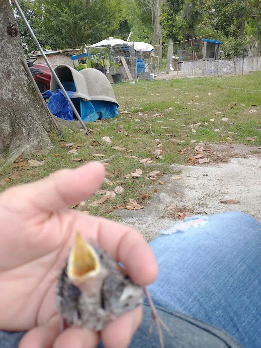 Sherwood Animal Clinic Picture 3