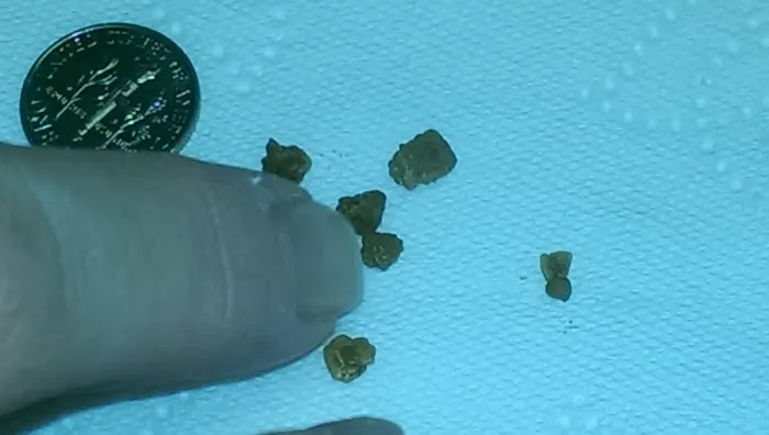 Sherwood Animal Clinic Picture 5