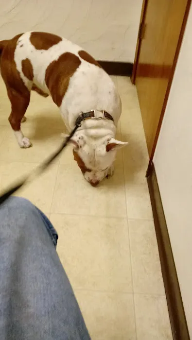 Sherwood Animal Clinic Picture 7