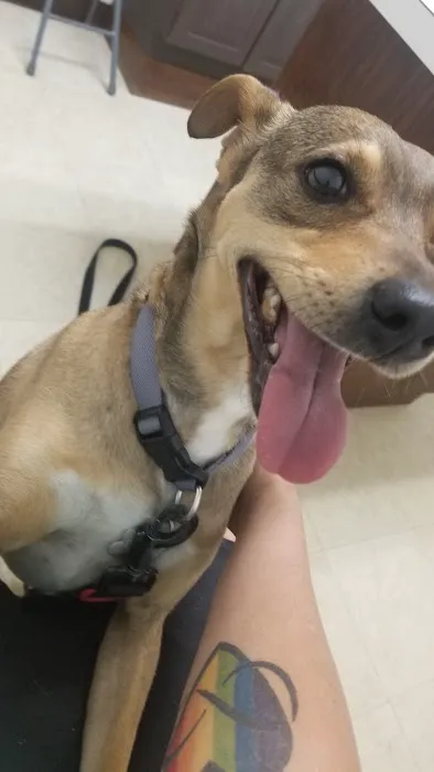 Sherwood Animal Clinic Picture 6