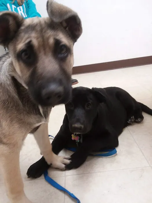 Sherwood Animal Clinic Picture 8