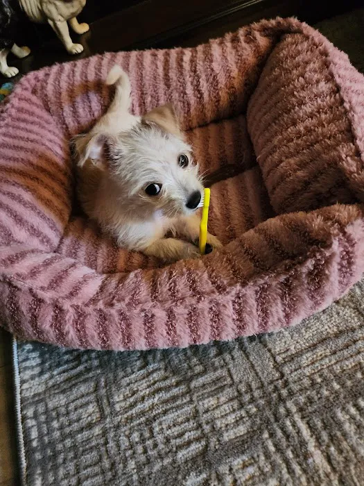 Sherwood Animal Clinic Picture 10