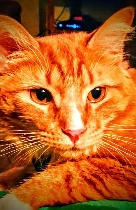 Sherwood J M DVM Picture 1