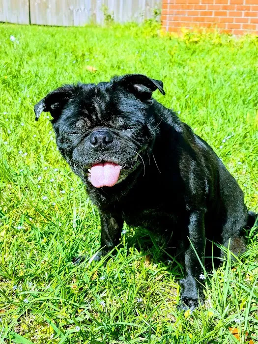 Sherwood J M DVM Picture 3