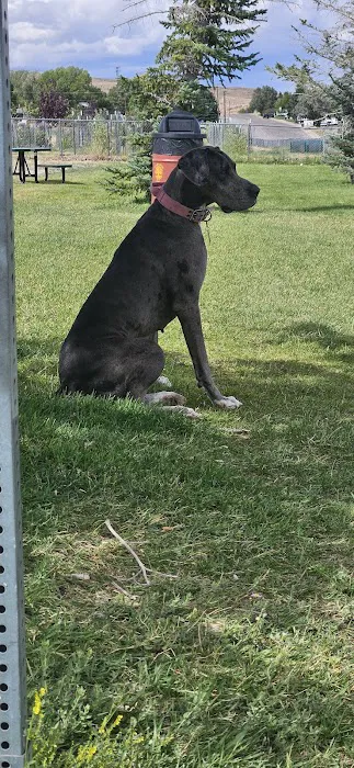 Sherwood J M DVM Picture 2