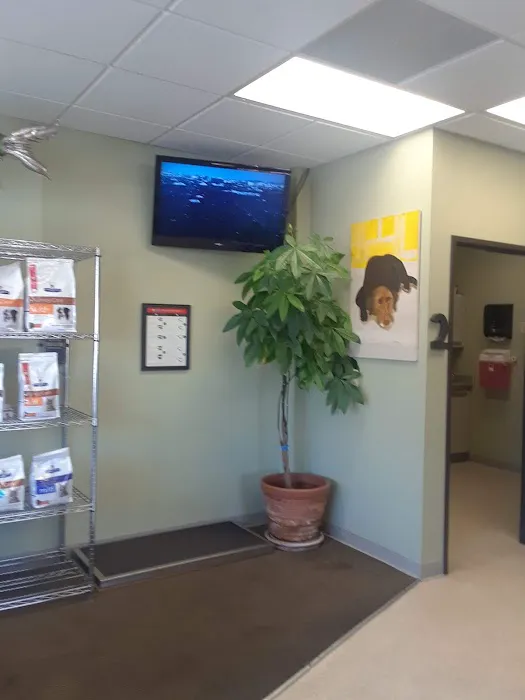 Mission Animal Hospital Picture 9