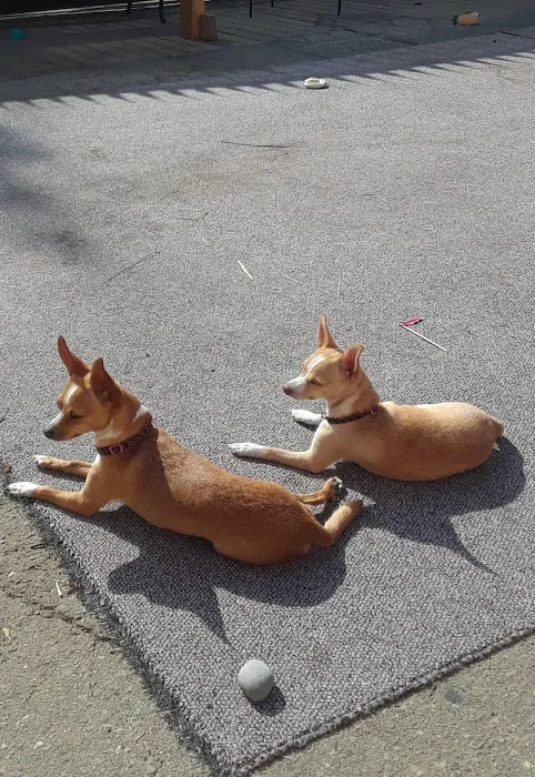 Mission Animal Hospital Picture 10