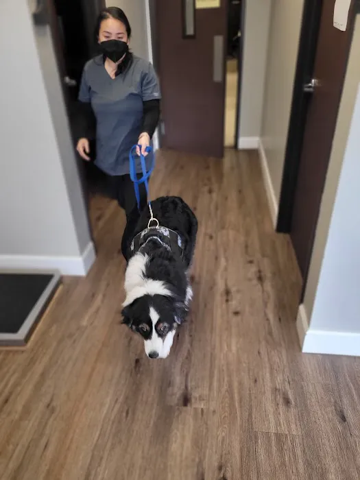 Mission Animal Hospital Picture 7