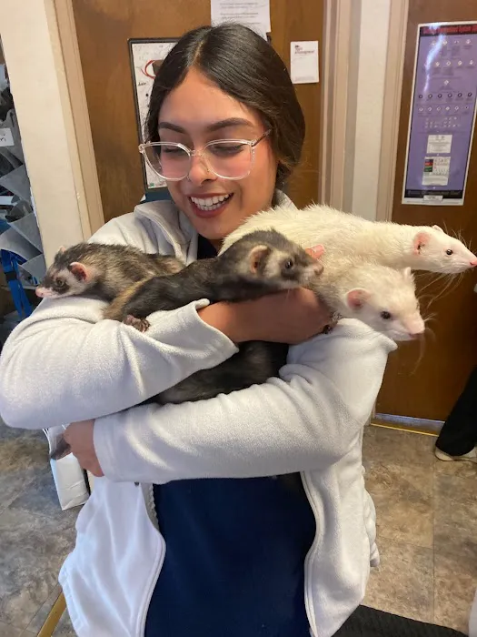 Moore Veterinary Care Picture 1