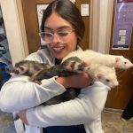 Moore Veterinary Care