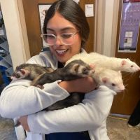 Moore Veterinary Care ico