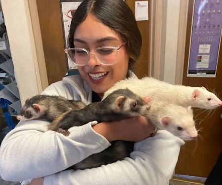 Moore Veterinary Care