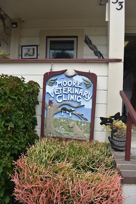 Moore Veterinary Care Picture 5