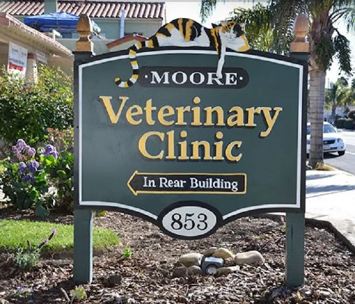 Moore Veterinary Care Picture 10