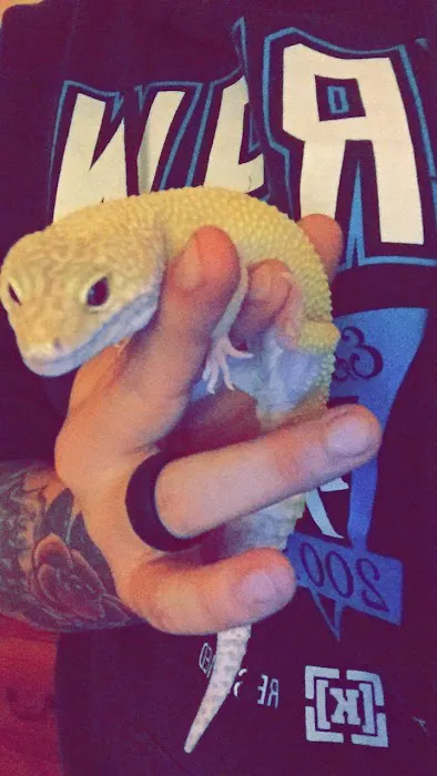 Moore Veterinary Care: Dr. Karen Moore DVM Picture 1