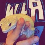 Moore Veterinary Care: Dr. Karen Moore DVM