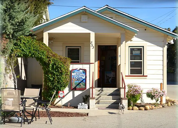 Moore Veterinary Care: Dr. Karen Moore DVM Picture 2