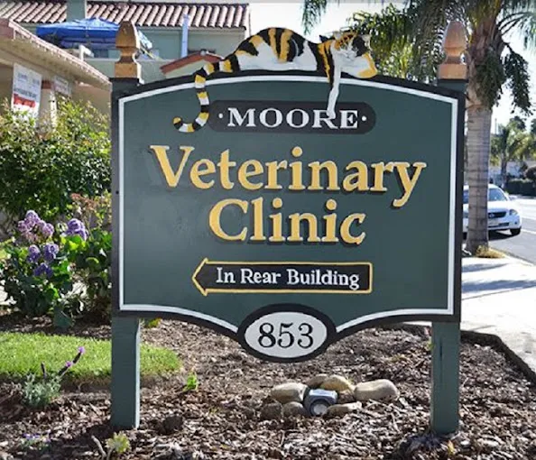 Moore Veterinary Care: Dr. Karen Moore DVM Picture 3