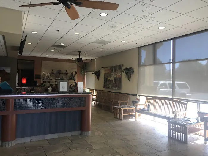 Butterfield Animal Hospital Picture 5