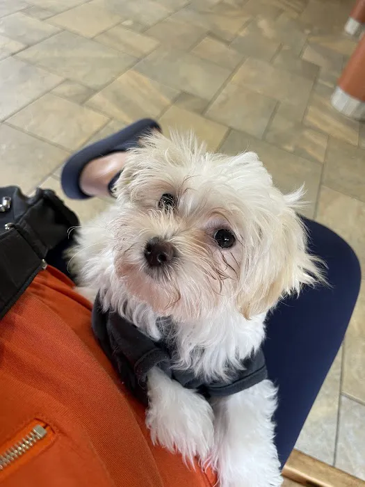 Butterfield Animal Hospital Picture 3