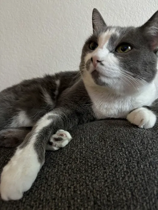 Butterfield Animal Hospital Picture 4