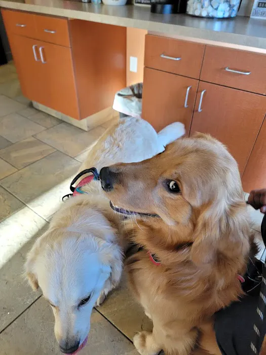 Butterfield Animal Hospital Picture 7