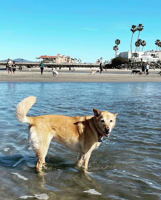 Butterfield Animal Hospital Picture 8