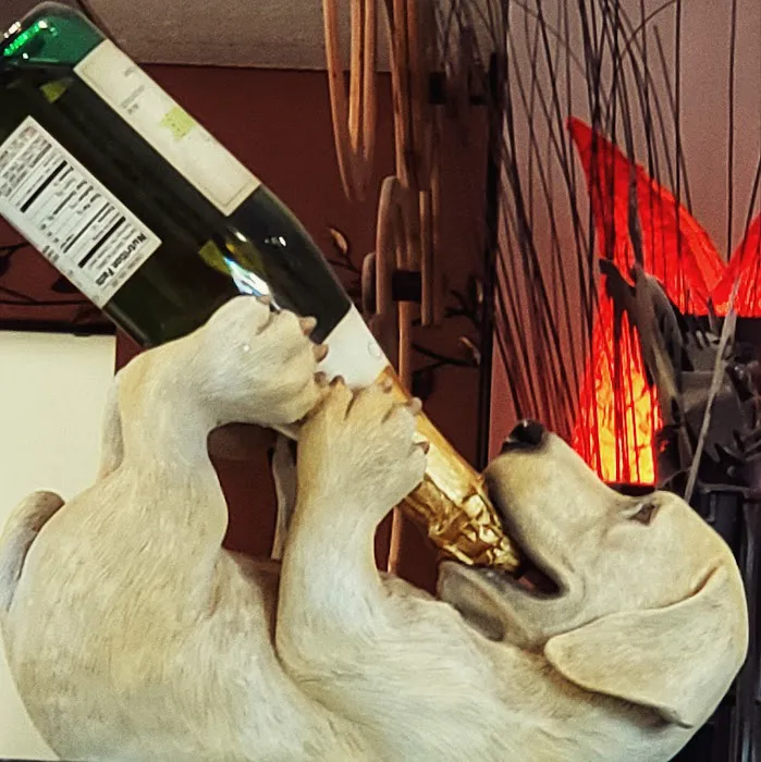 Butterfield Animal Hospital Picture 9