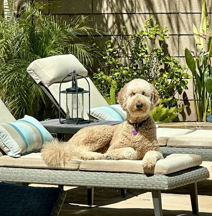 Butterfield Animal Hospital Picture 10