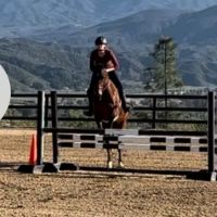 Temeku Equine Inc ico